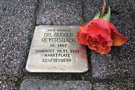 STOLPERSTEIN für Dr. Rudolf Reyersbach in Senftenberg