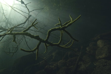 Credits: coraxfilm/doclights/NDR Naturfilm
