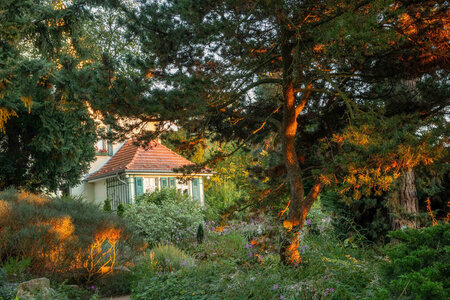 Garten Karl Foerster Haus, Foto 1547026 © Marianne Majerus_Deutsche Stiftung Denkmalschutz Garten Karl Foerster Haus, Foto 1547026Garten Karl Foerster Haus, Foto 1547026 © Marianne Majerus_Deutsche Stiftung Denkmalschutz