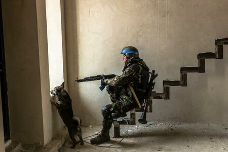 Ukrainischer Soldat mit Gewehr in einem Haus am Fenster