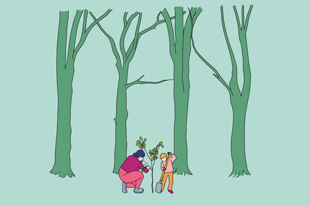 Illustration zum Thema Nachhaltigkeit: Zwei Menschen pflanzen einen kleinen Baum in einem alten Wald