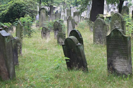 Gräberfeld auf dem Jüdischen Friedhof Potsdam