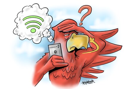 Adler ohne Wlan