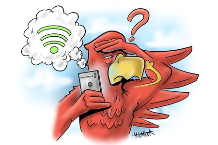 Adler  ohne Wlan