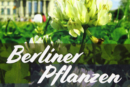 Berliner Pflanzen