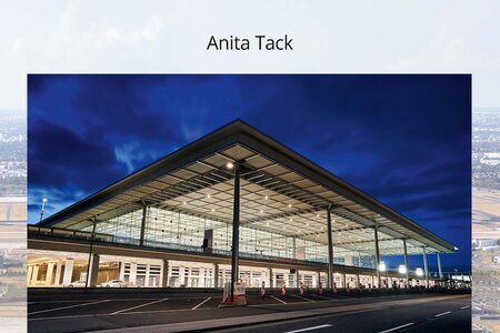 Cover des Buches BER von Anita Tack
