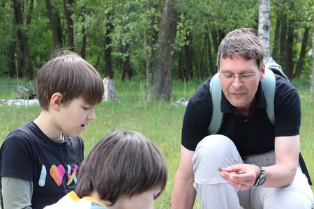 pepe und die welt der insekten