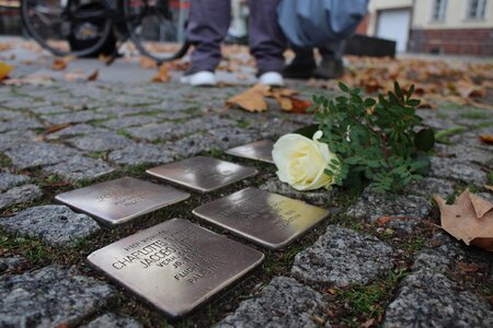 STOLPERSTEIINE am Markt in Senftenberg