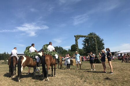 Hahnrupfen in der Lausitz