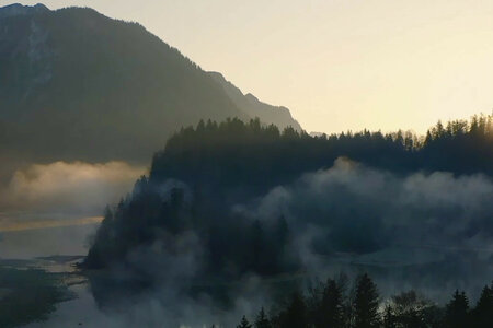 Im Zaubertal der Kröten