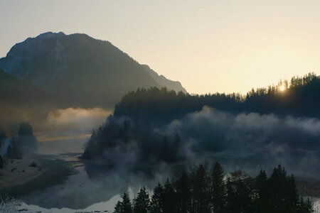 Im Zaubertal der Kröten