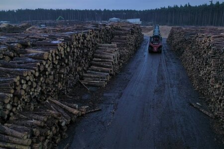 Ware Wald