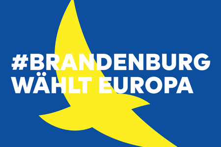 Europawahl 2024