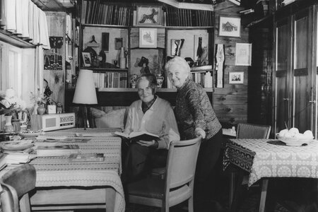 Achtung Eule - Ein Zeichen für den Naturschutz 