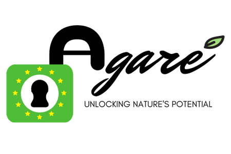Logo AGARE-Project