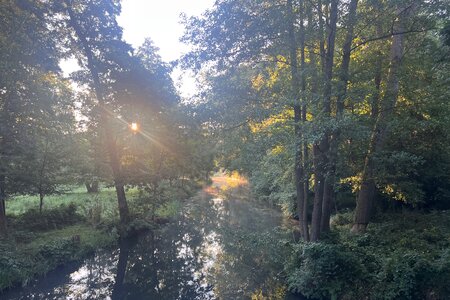 Spreewald