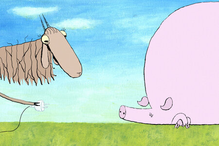pig