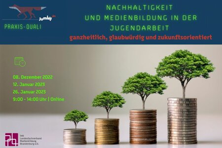 Bild mit Geldmünzen und Bäumen