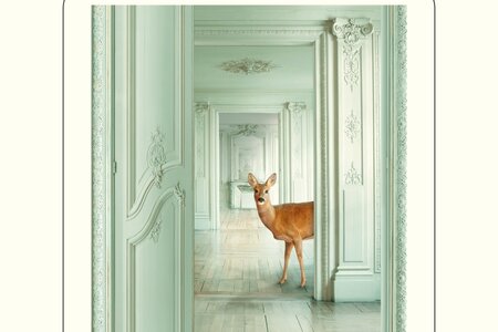 Buchcover_Isidor_Shelly_Kupferberg