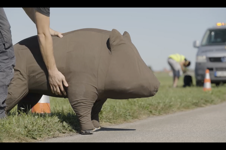 Wildschwein provisorisch
