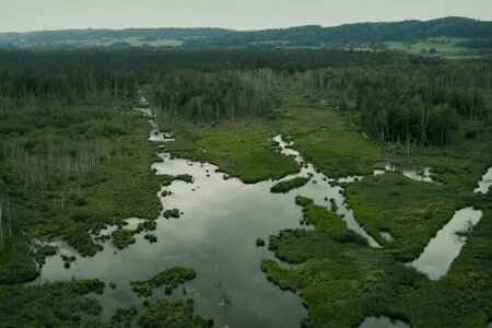 Filmstill: Sinkendes Land_Titelbild.jpg Credits Theresa Mammel.jpg