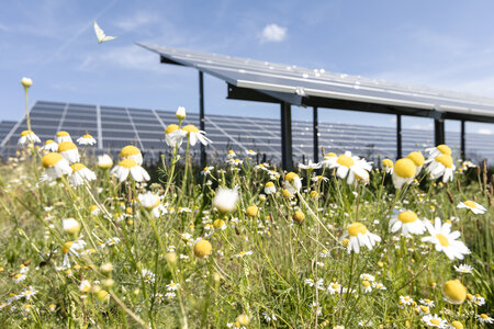 Solarpark Weesow-Willmersdorf August 2021