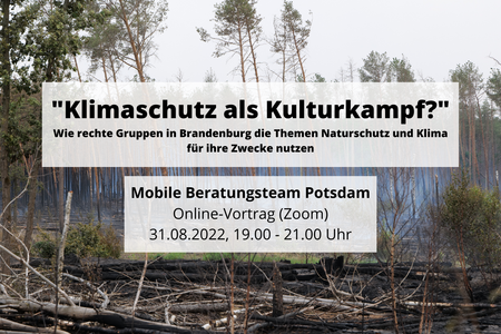 Waldbrand in Treuenbrietzen, Juni 2022
