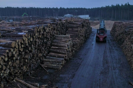 Ware Wald
