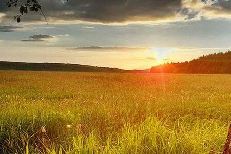 "Die Wiese - ein verlorenes Paradies?"