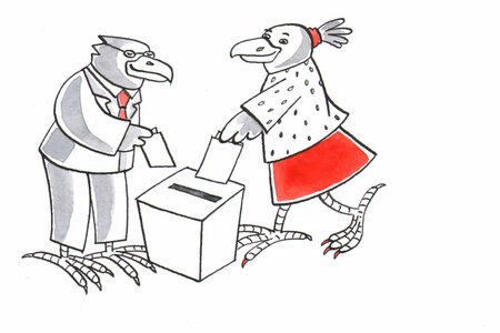 Adler mit Wahlurne