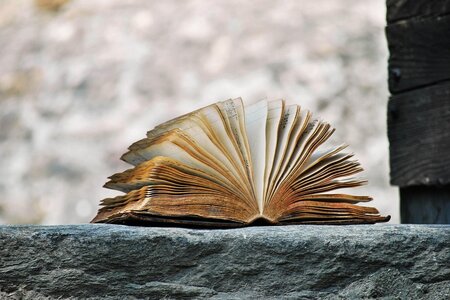 ein aufgeklapptes altes Buch