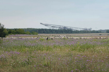 lausitz