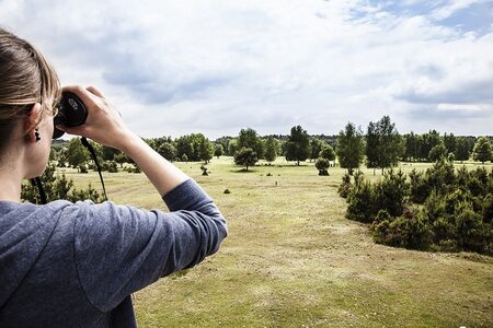 Blick auf's Wildgehege