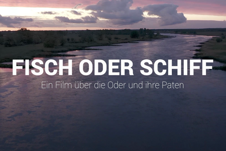 Titelbild zum Film. Der Schriftzug "Fisch oder Schiff" auf dem Fluss