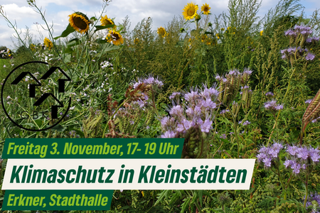 Klimaschutz in Kleinstädten - Seminar 3.11.2023