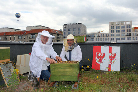 Martin Gorholt bei der Honigernte auf dem Dach der Landesvertretung