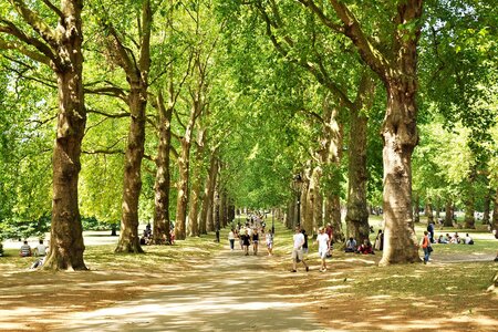Grüner Park mit entspannten Menschen