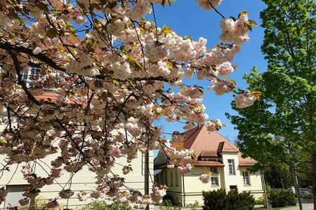 Die Landeszentrale im Frühling