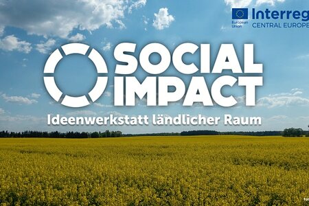 Die Online-Ideenwerkstatt bietet die Möglichkeit, aktuelle Herausforderungen ländlicher Räume zu diskutieren und Lösungsideen zu entwickeln. Social Impact
