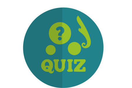 Icon Quiz