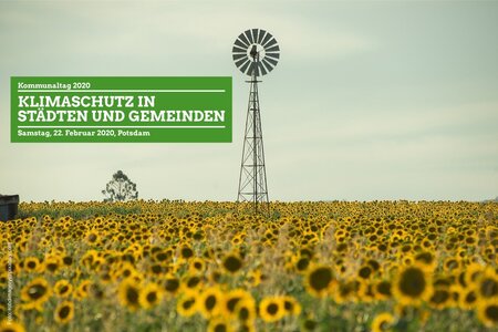 Sonnenblumenfeld mit alter Windmühle Klimaschutz