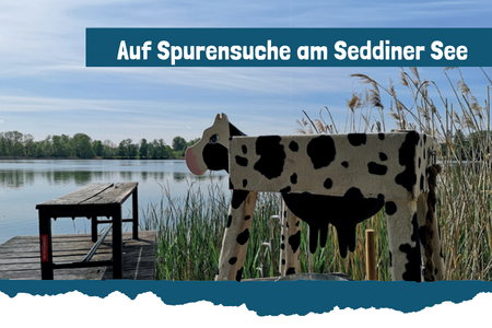 Ausschnitt aus dem Programm