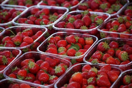 Erdbeeren in Schalen auf dem Markt