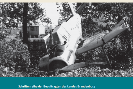 Buchcover Der überwachte Himmel