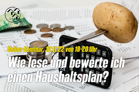 Online-Seminar: Wie lese und bewerte ich einen Haushaltsplan