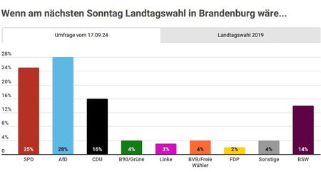 Diagramm zur Umfrage vom 17.09.2024 für die Landtagswahlen 2024 in Brandenburg