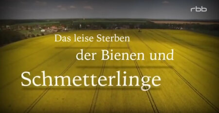 Screenshot aus dem Film