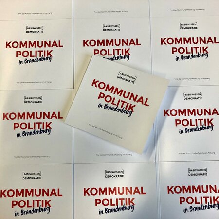 Mehrere Ausgaben unseres Buches Basiswissen Demokratie Kommunalpolitik