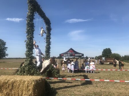 Hahnrupfen in der Lausitz