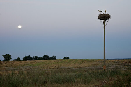 Heimat Brandenburg. Foto: Oliver Mark